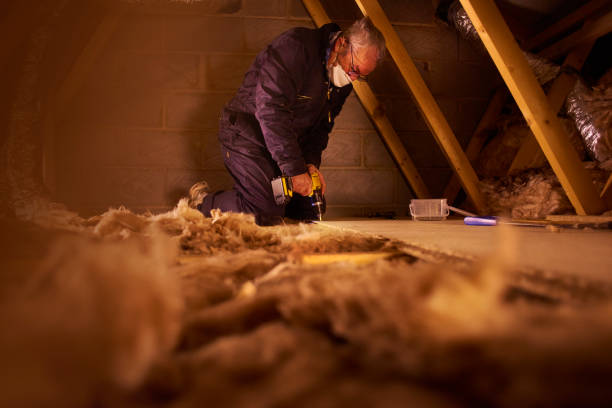 Best Insulation Maintenance and Repair in Whitewright, TX